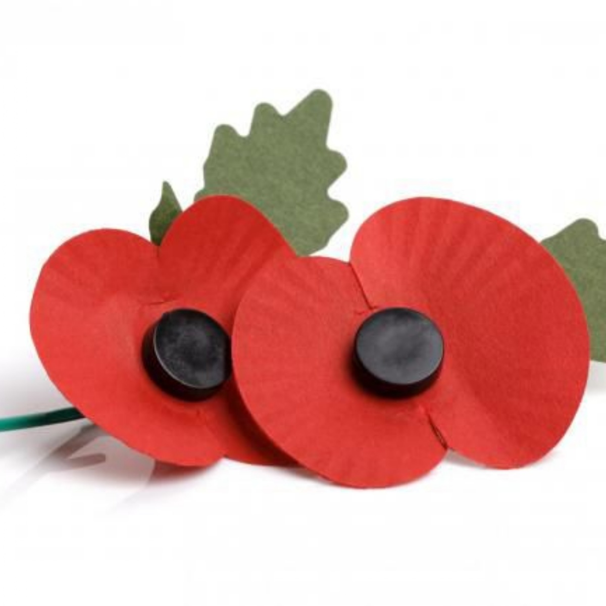 Poppy Appeal 2021 - Old Leake Primary School